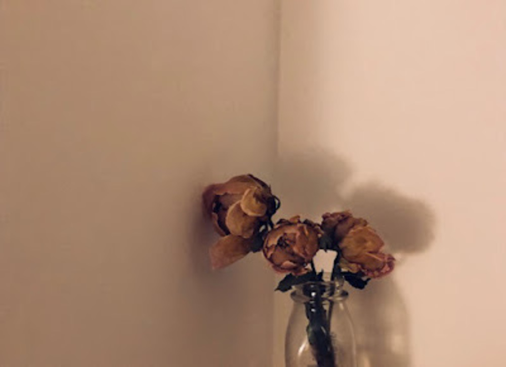 Meet your Posher, Silvia